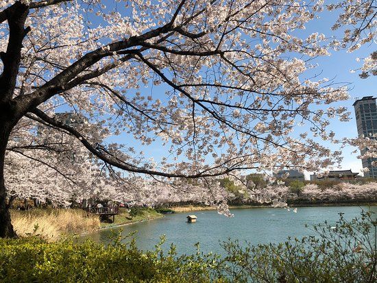 Parco di Songpa Naru