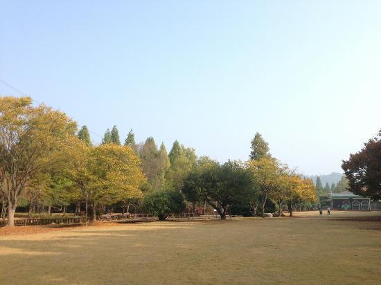 Gyeongsangnamdo Arboretum