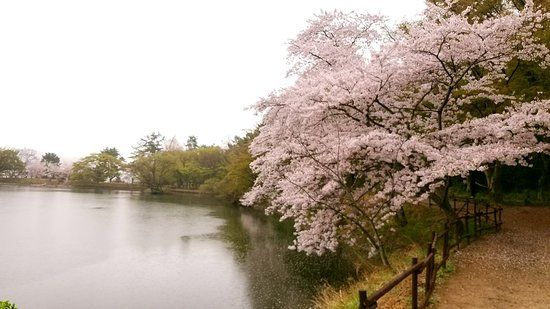 Jinhae NFRDI Environment Eco-Park