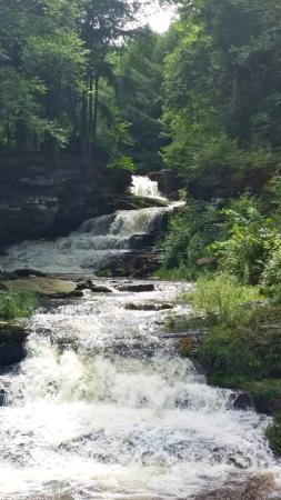 Sonoma Falls