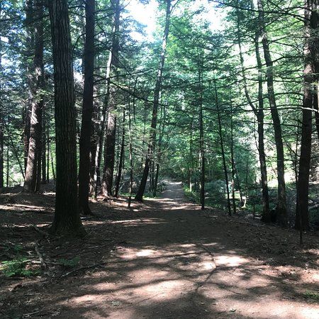 Vaughan Woods State Park