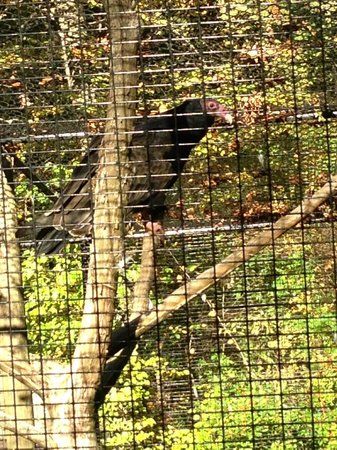 Blue Hills Trailside Museum