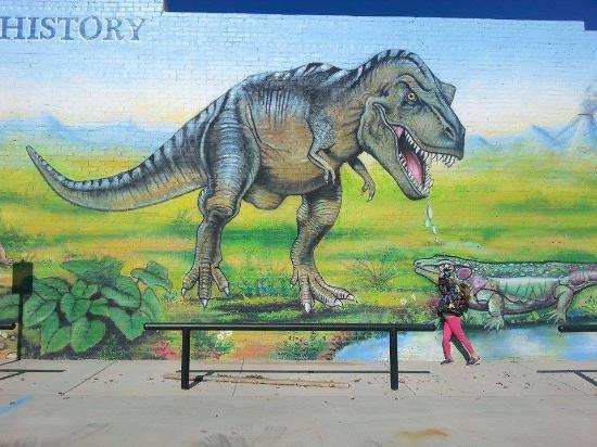 The Whiteside Museum of Natural History