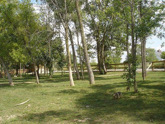 Davison Area Dog Park