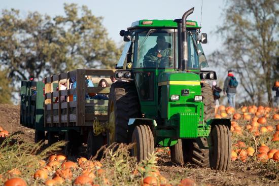 Waldvogel's Pumpkin Farm