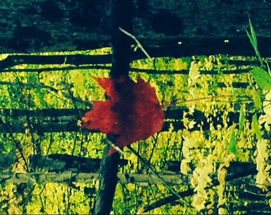 Underhill State Park