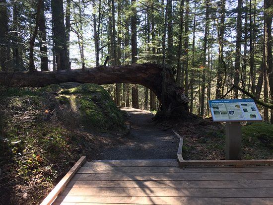 Francis King Regional Park