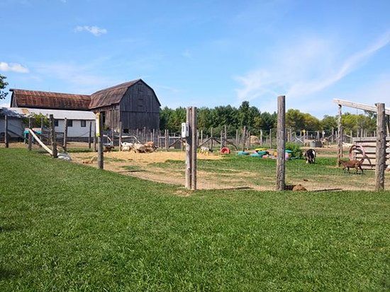 Promise Land Family Fun Farm