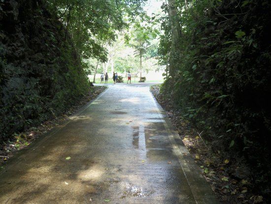 Rajah Sikatuna Protected Landscape