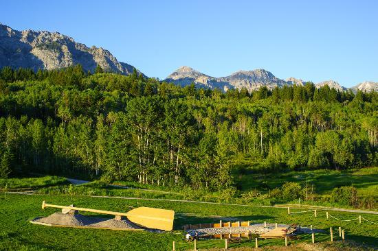 World's Largest Paddle