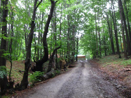 Święta Góra Jawor