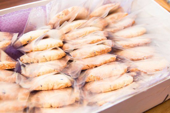 Summer garden U Klokana