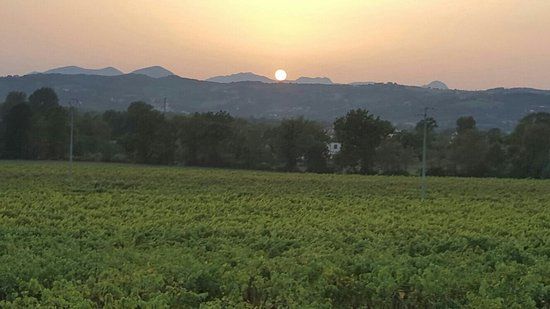 Azienda Agricola Meoli