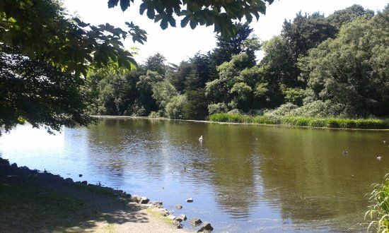 Kiltonga Nature Reserve