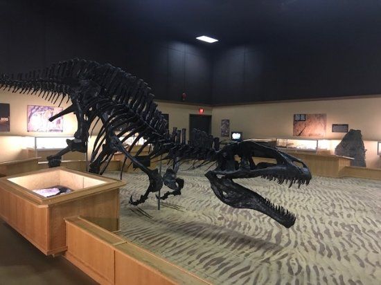 Peace Region Palaeontology Research Centre's Dinosaur Discovery Gallery