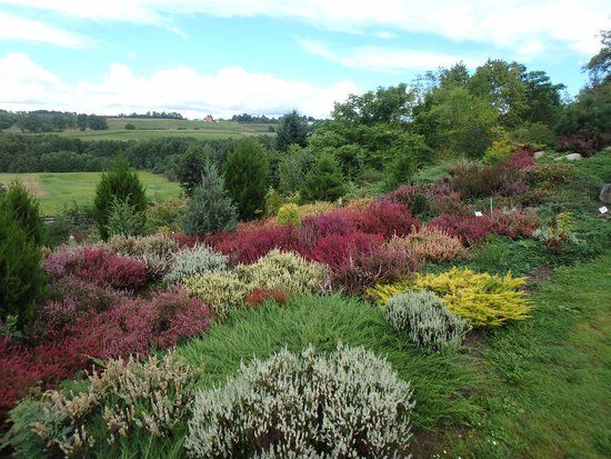Golubienski Botanical Garden