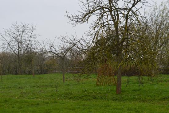 maison du Bocage de Sains-du-Nord