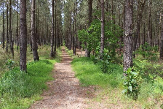 Centre Équestre Hippocom