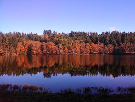 Lac de Seychemailles