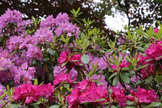 Edvard Grieg's Composer's Cabin