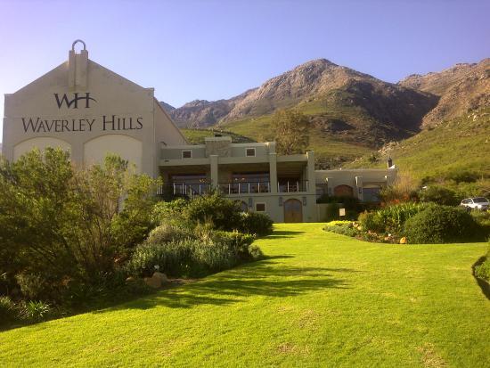 Waverley Hills Organic Wine and Olives