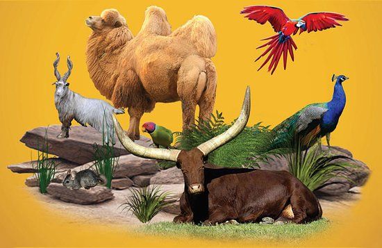 ZooParc du Cannet des Maures