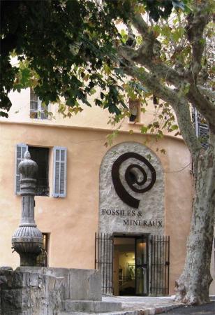 Musée Fossiles et Minéraux