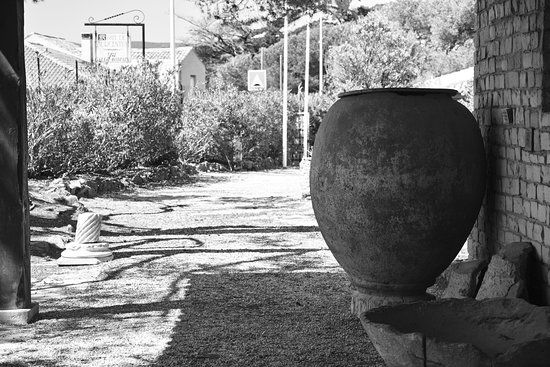 Gallo-Römisches Museum von Tauroentum