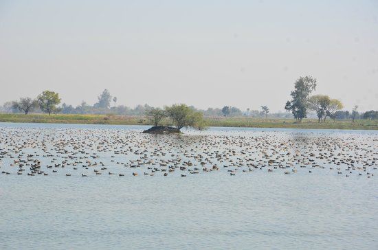 Lakh Bahosi Sanctuary