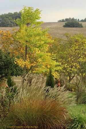 Le Jardin d'Enteoulet