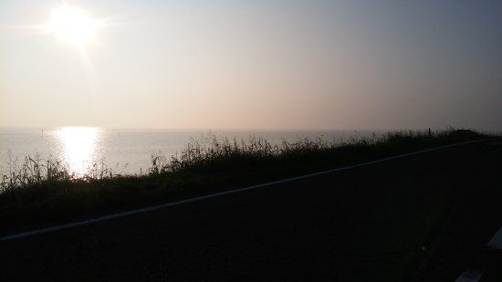 Sacca degli Scardovari