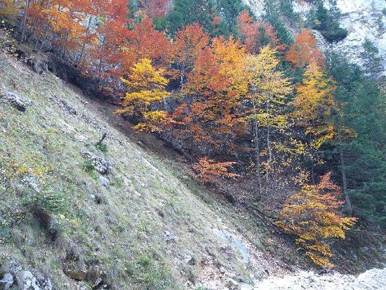 La Prapastii Zarnesti