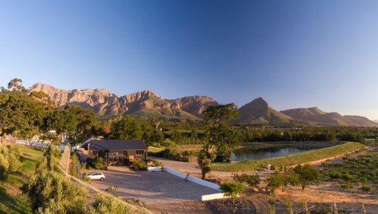 Cheetah Experience Ashia