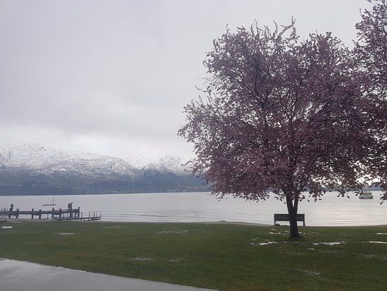 Roys Bay Recreational Reserve