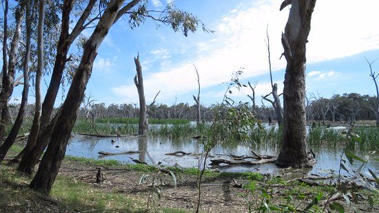 Gum Swamp & Bird Hide
