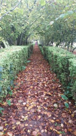Fuente de los Doce Caños