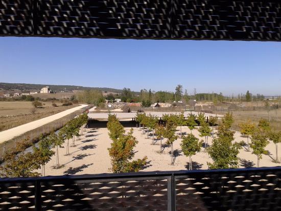 CAREX Experimental Archeology Center