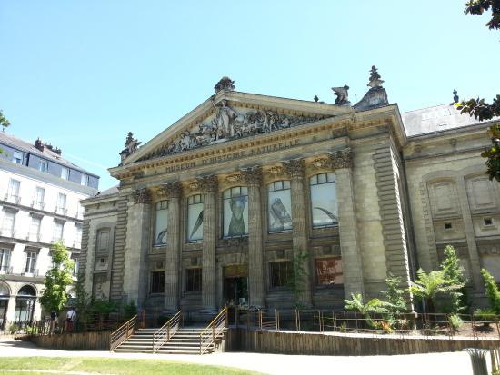 Muséum d'Histoire Naturelle
