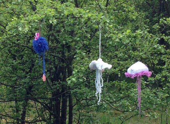 Shipley Country Park