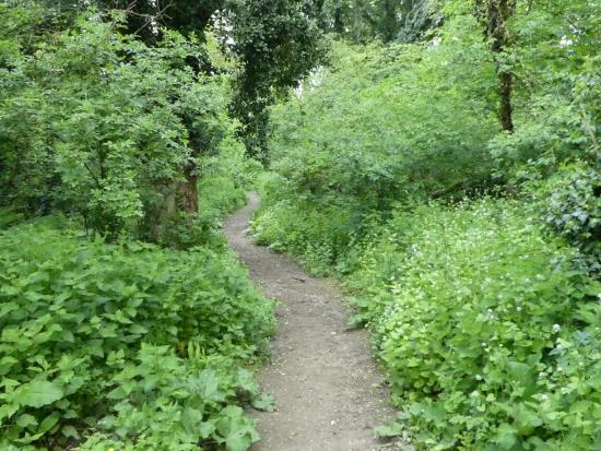 Danby Wood