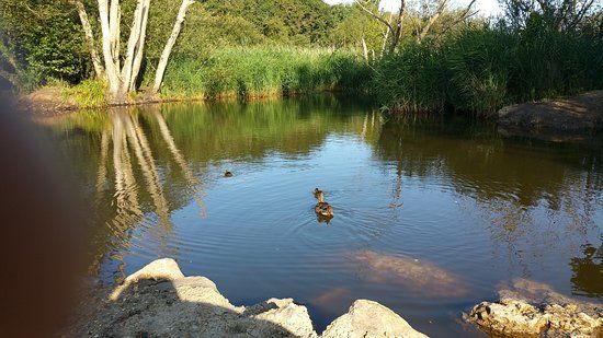 Wildgrounds Nature Reserve