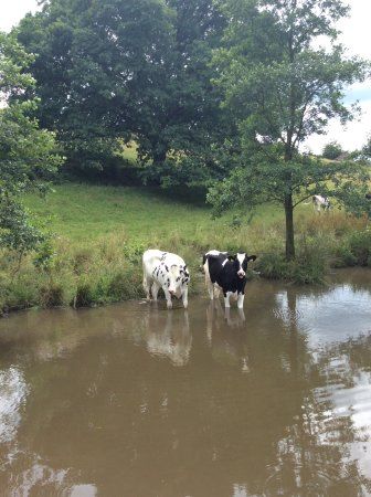 Deep Hayes Country Park
