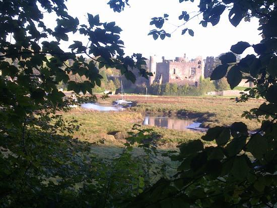 The Dylan Thomas Birthday Walk