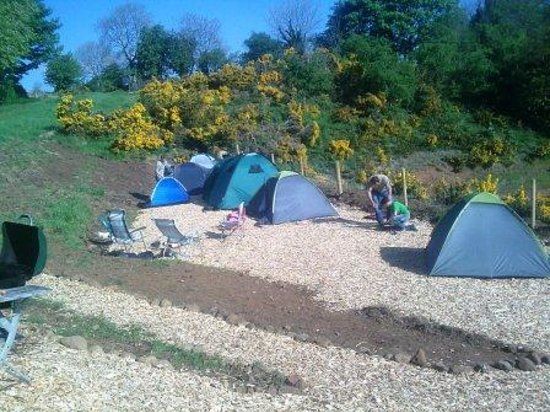 Temple Springs Fishery