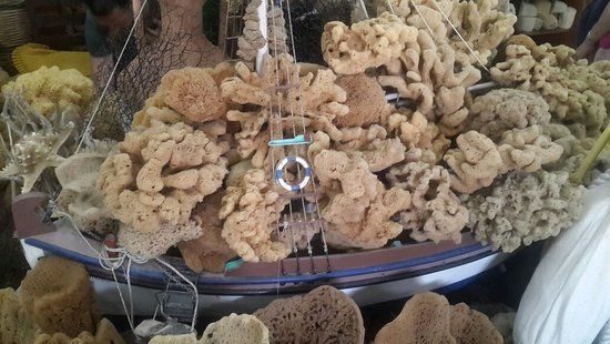 N S Papachatzis Sponge Factory