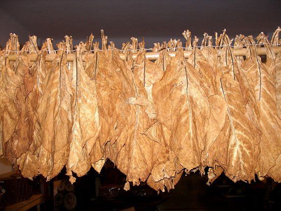 Tobacco Museum of Municpality of Kavala