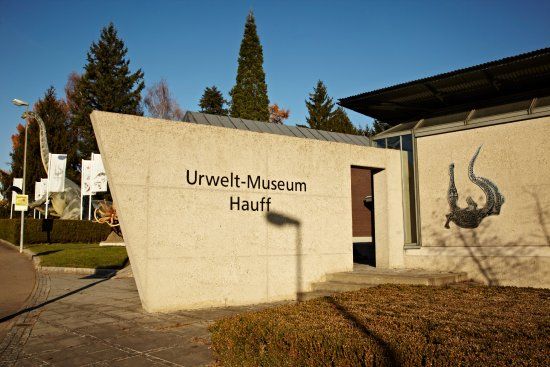 Urweltmuseum Hauff