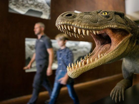 Fossilienmuseum Monte San Giorgio