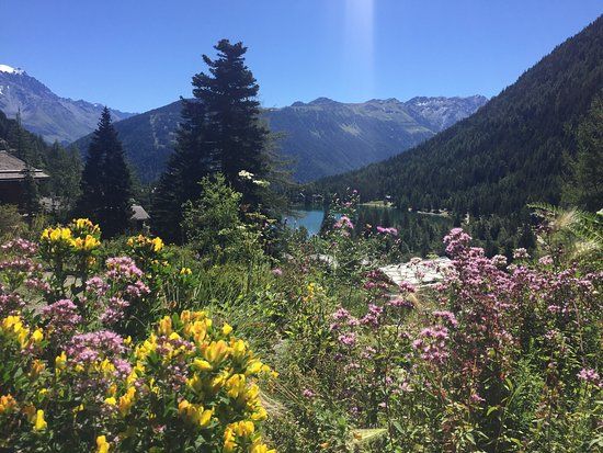 Fondation Aubert Jean-Marcel