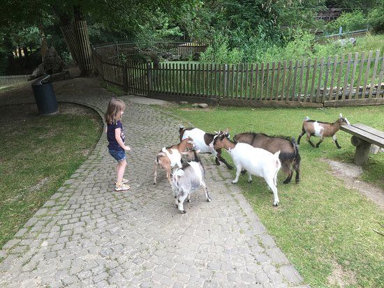 Parc zoologique du bois du petit château